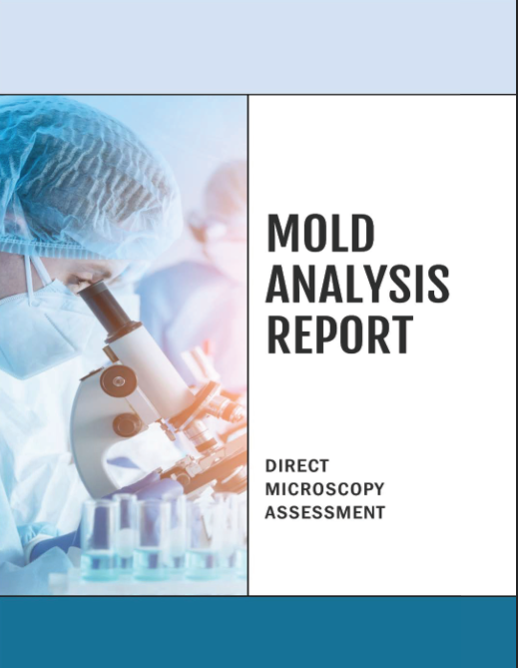 Mold Analysis Report cover — Direct Microscopy Assessment