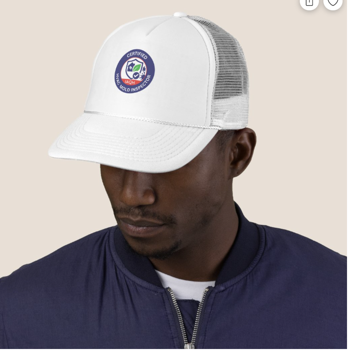 had with IAQH Mold cirtification age's