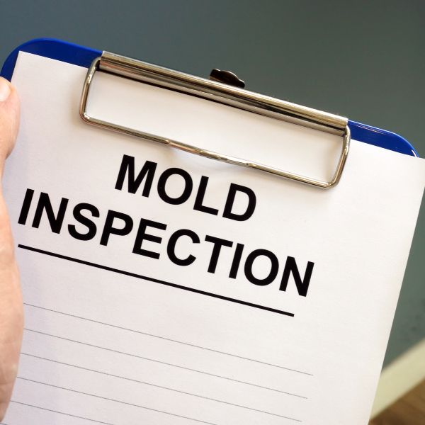 Mold Inspecting Process